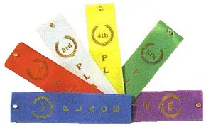 Fan of colored 2 by 8 inch placement ribbons
